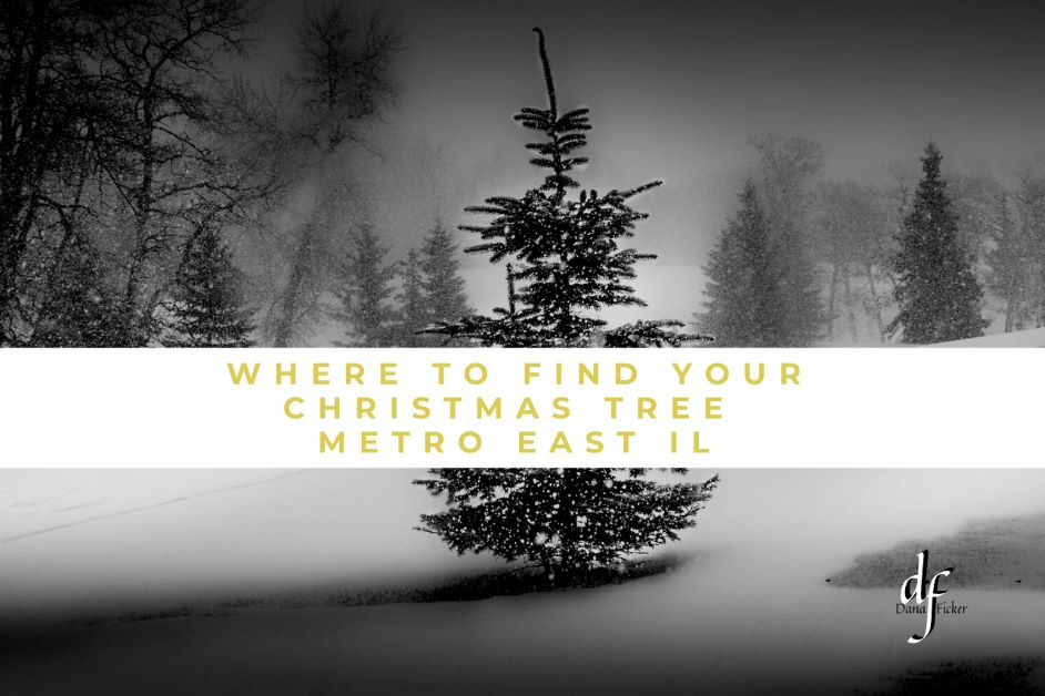 Single Christmas Tree white snow background. Where to Find your Christmas Tree _Metro East IL