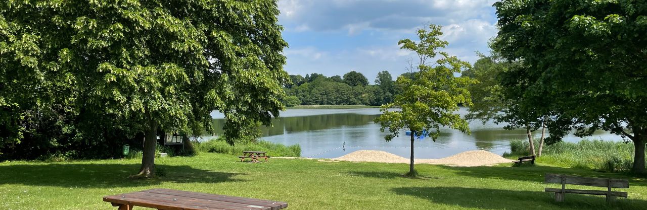 Park setting with lake as focal point